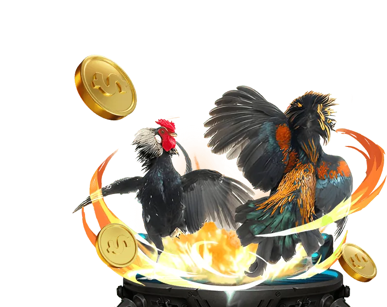 Cá cược có trách nhiệm tại 566win link mới